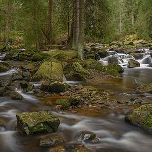 D8E_0646.jpg