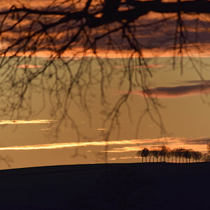 _DSC6941NF.jpg