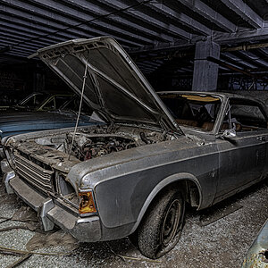 DSC_7287.jpg