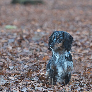 DSC_6173.jpg