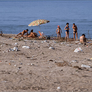 Rosolina055.jpg