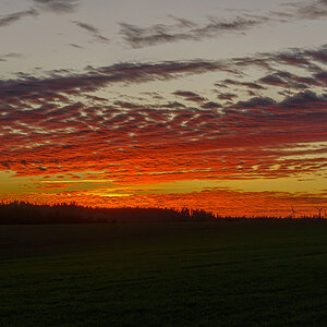 D8E_0714.jpg