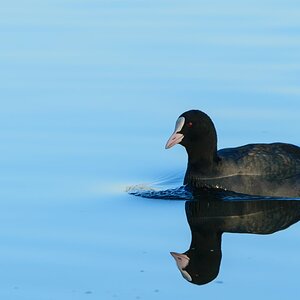 DSC_1108.jpg