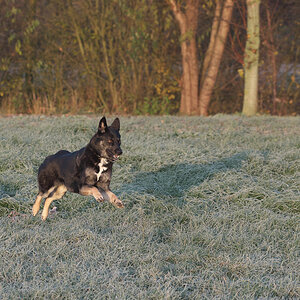 DSC_5553.jpg