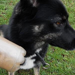 DSCN4337.JPG