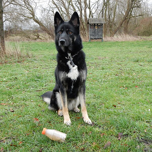 DSCN4341.JPG