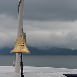 Alaska_2018-1279.jpg