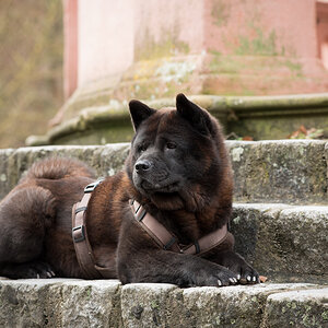 NF_DSC_1755.jpg