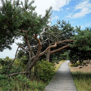 comp_DSC04801 Kopie.jpg