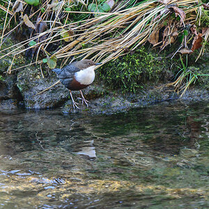 DSC_1165.jpg