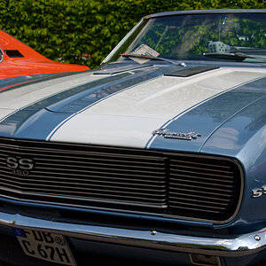 DSC_1935dxo (2).jpg