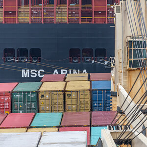 200128 MSC Arina-3.jpg