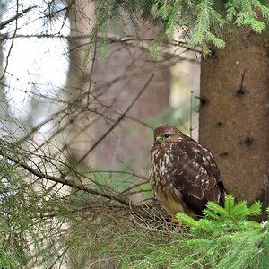 2020_00622_01.jpg