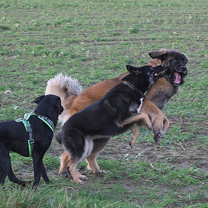 DSC_6912 Kopie.jpg