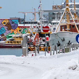 200203 Tromsø-3.jpg