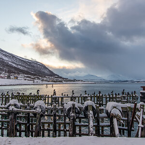 200205 Tromsø-4.jpg