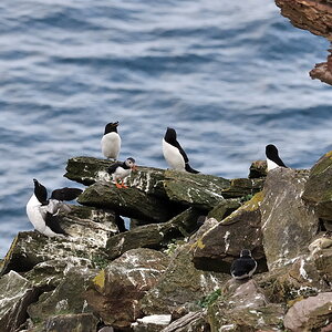 johnogroats