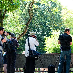 DSC 3674 alles fotografiert