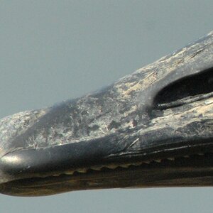 uebersicht2 crop
