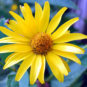 DSC 3851