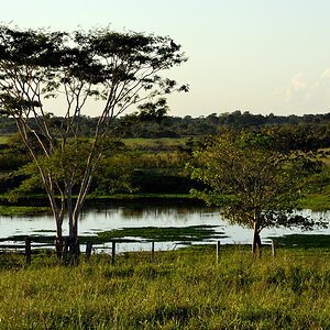 DSC 5637