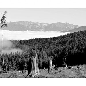 D700 Morgennebel