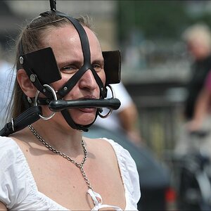 comp CSD 09 0177