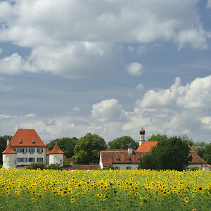 20090728 134432 Blutenburg Sonne
