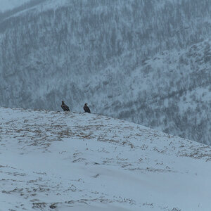 200206 Tromsø-30.jpg
