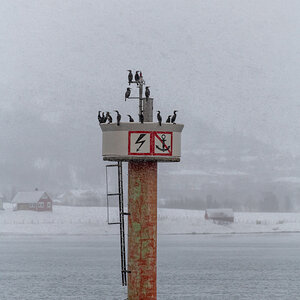 200206 Tromsø-43.jpg