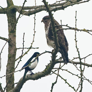 D72_5390_DxO.jpg