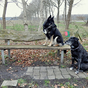 DSCN4485.jpg