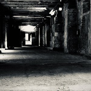 DSC_2247.jpeg