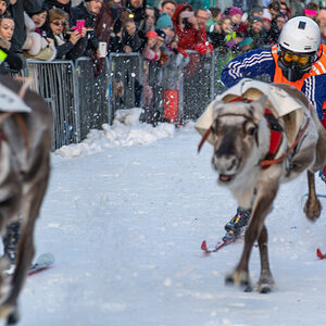 200209 Tromsø-11.jpg