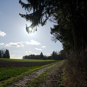 DSC_10257.jpg
