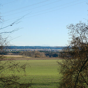 DSC_10260.jpg