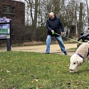 _Herr und Hund mal wieder gemeinsam draußen....jpg