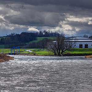 D81_1002.jpg