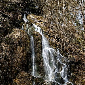 DSC_8781.jpg