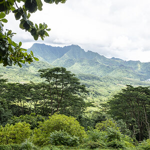 Landschaft Moorea.jpg