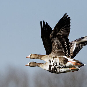 D72_5410_DxO.jpg