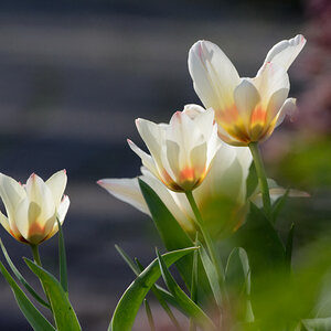 D72_5583_DxO.jpg