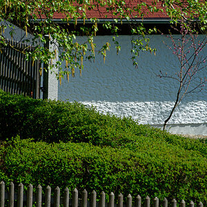 DSC_4664_DxO.jpg