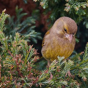 DSC_6614_sm 1.jpg