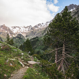 IMG_2019-06-06_07-27-35.jpg