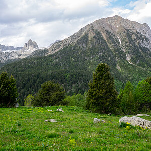 IMG_2019-06-09_08-35-45.jpg