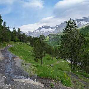IMG_2019-06-09_09-32-53.jpg