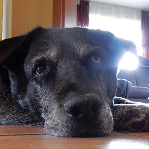 DSCN4746.JPG