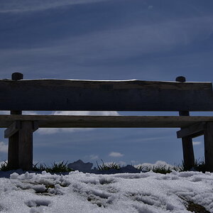 _DSC0606.jpg