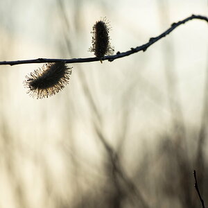 _DSC0777.jpg
